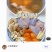 鹧鸪鸟7至8两