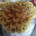 食用菌鲜品，榆黄菇（鸡油菌，黄金菇）鲜菇，