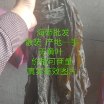 福建干海带少杂志无碎菜干度好海菜商用批发