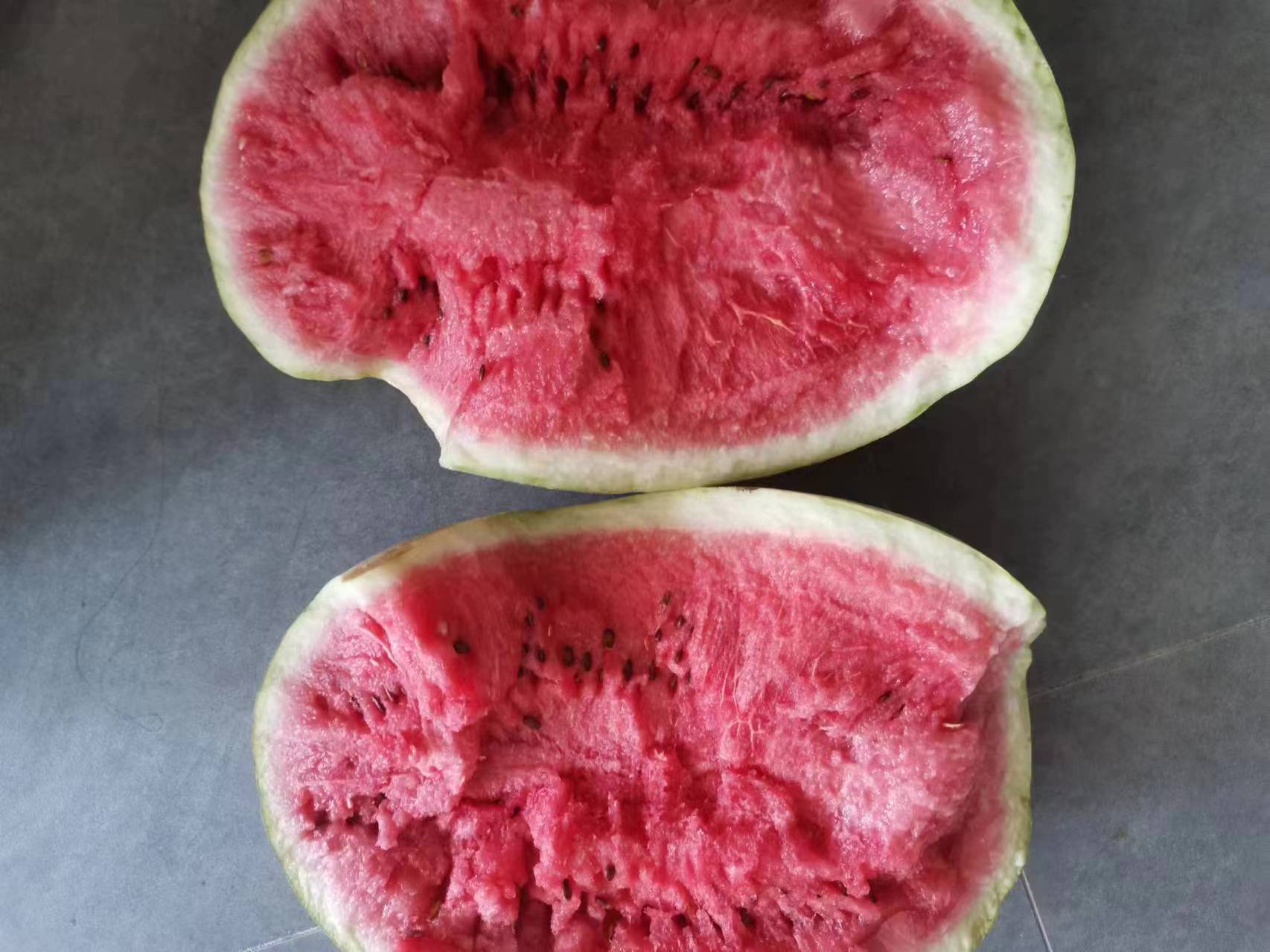 西瓜外观对比图