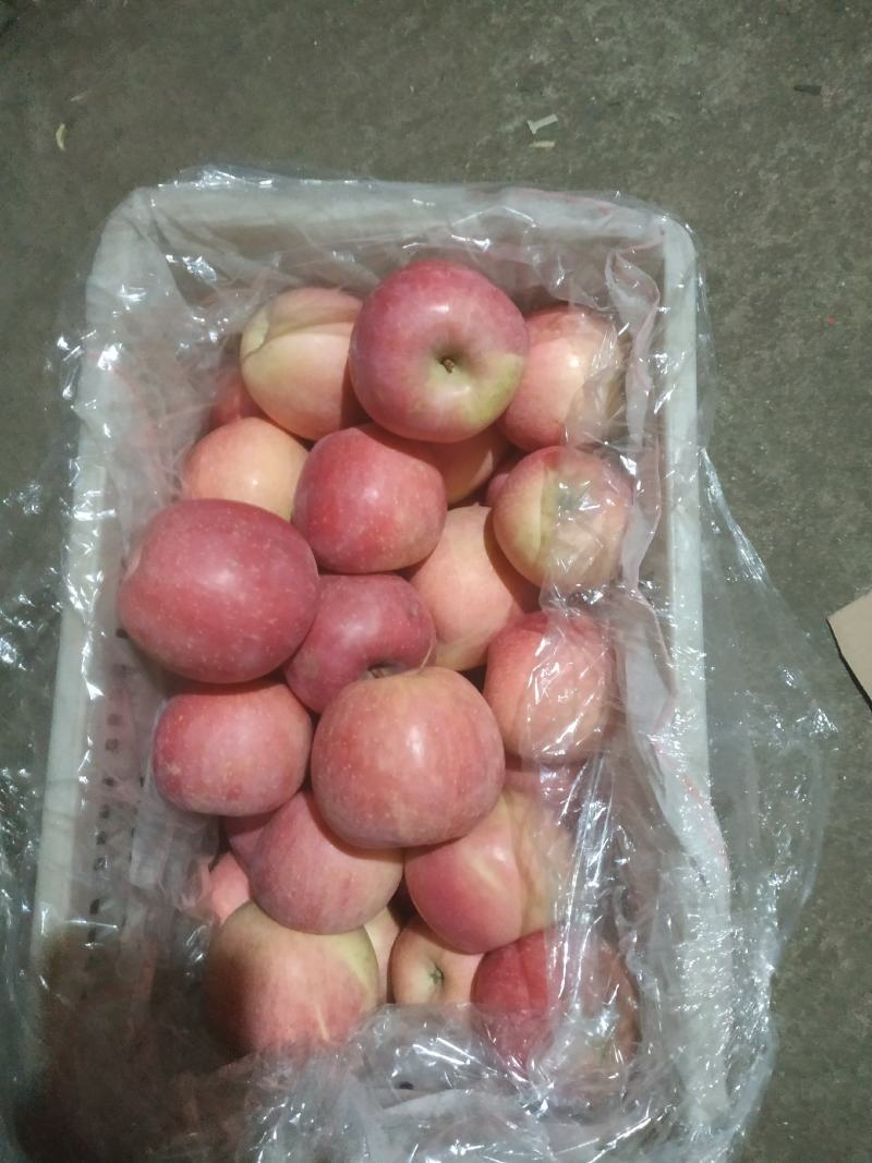便宜无好货
