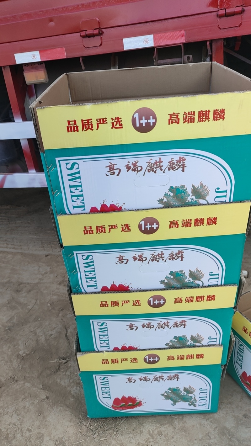台农美都