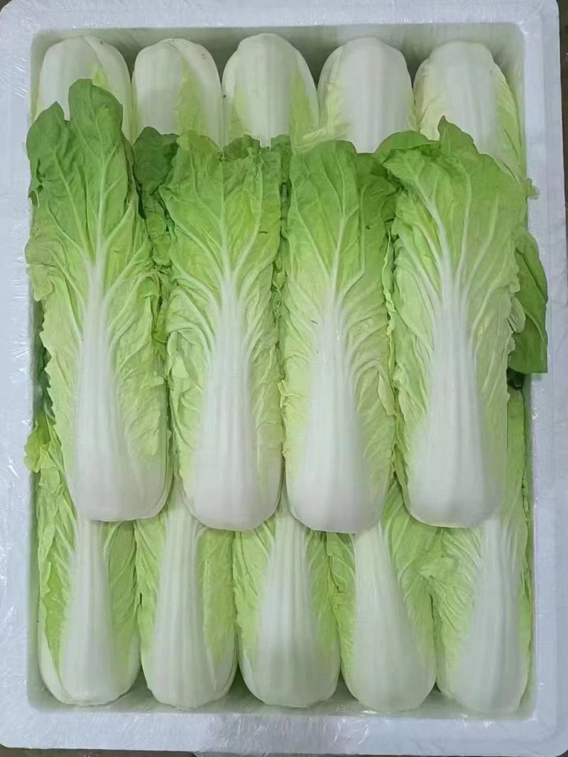 夏黄白