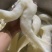 水发牛心管