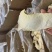 【杏鲍菇】杏鲍菇片产地直发可视频看货对接全国市场