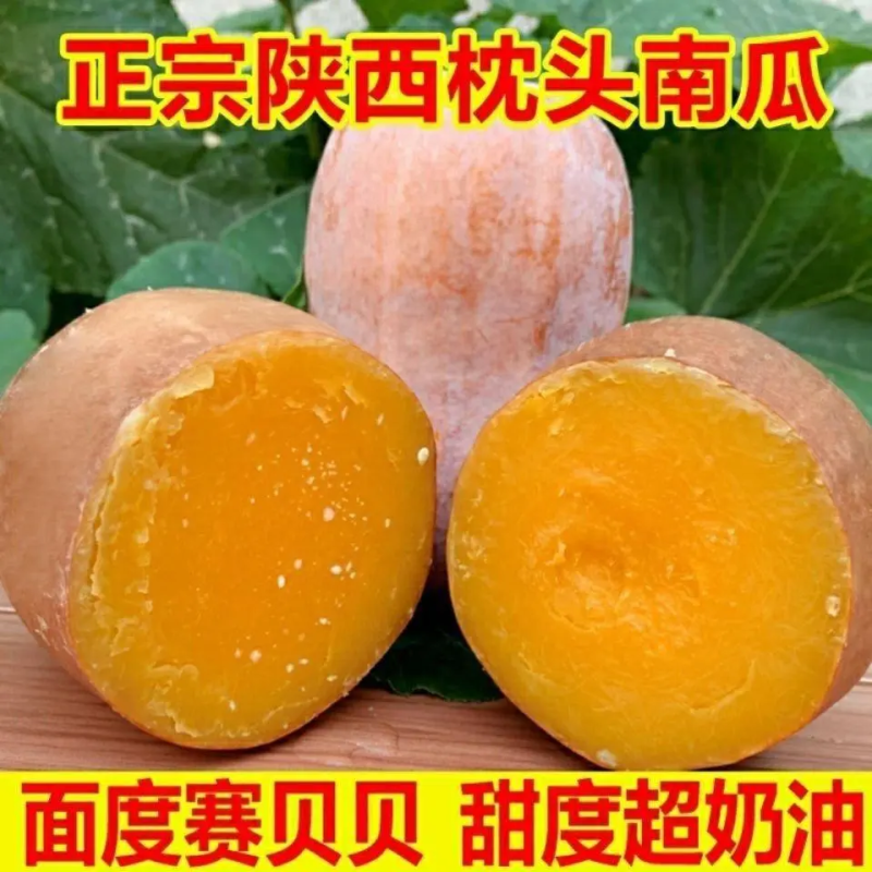 南瓜枕头南瓜陕西汉中南瓜口感面甜保质保量对接全国