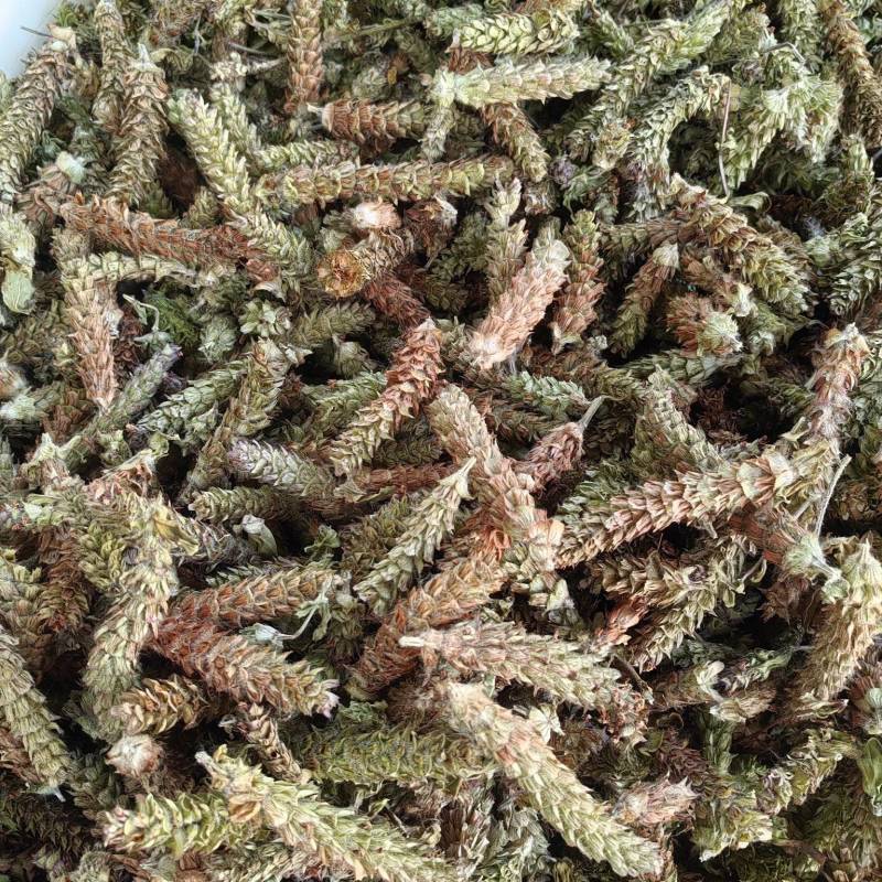 夏枯球青黄球