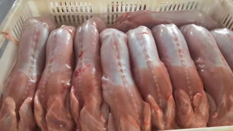【精选】兔肉大量供应规格齐全欢迎全国各地老板咨询采购