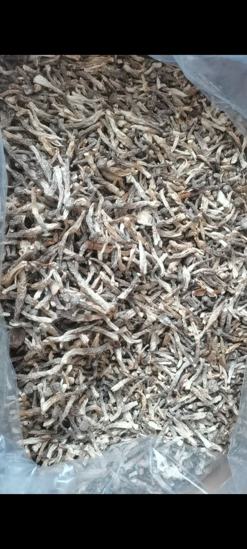 鹿茸菇干货好货批发产地一手货源本店经营各种野生菌产地批发