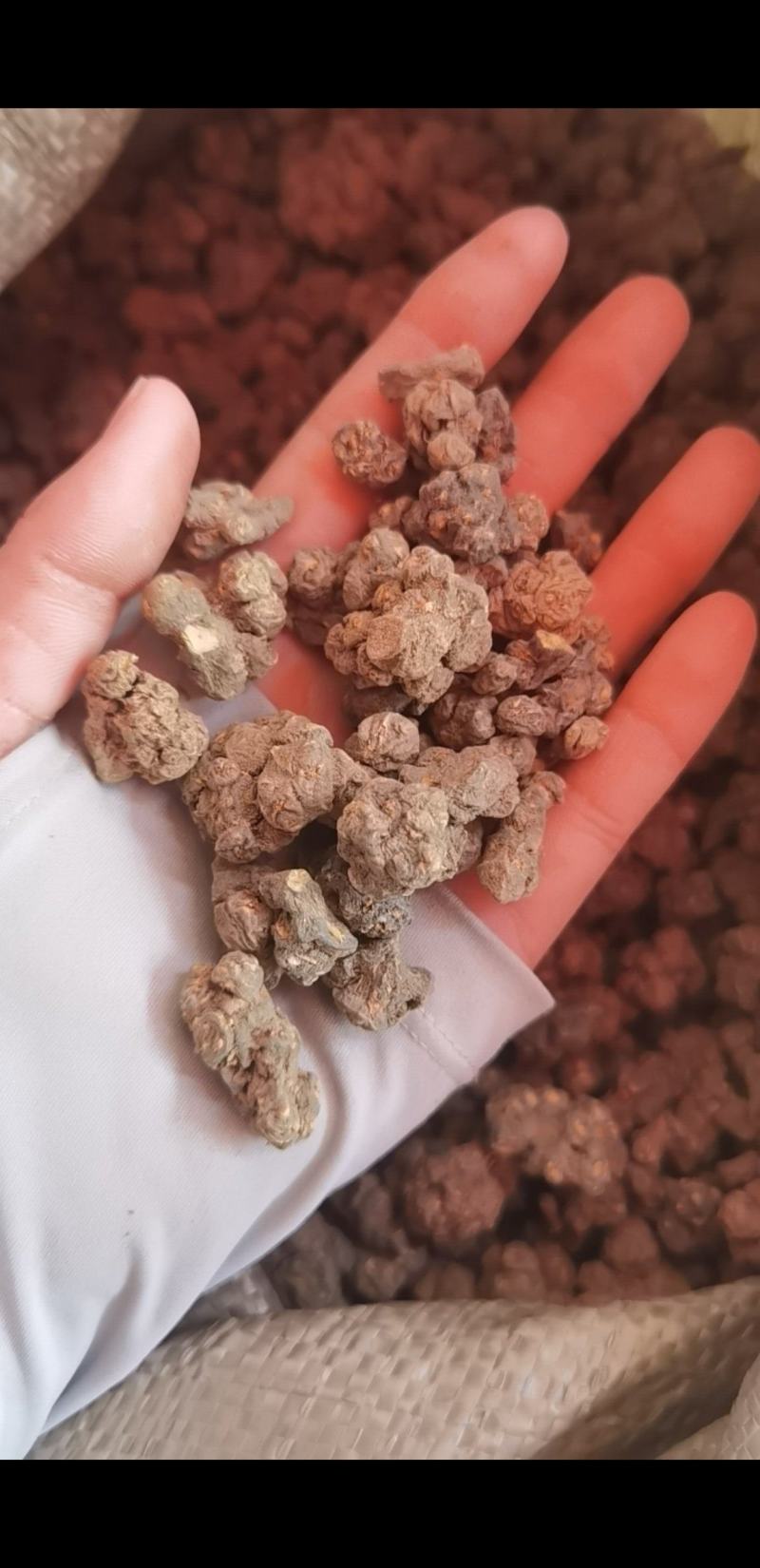 夏天无江西1公斤起批无硫***不包邮正品