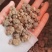 夏天无江西1公斤起批无硫***不包邮正品