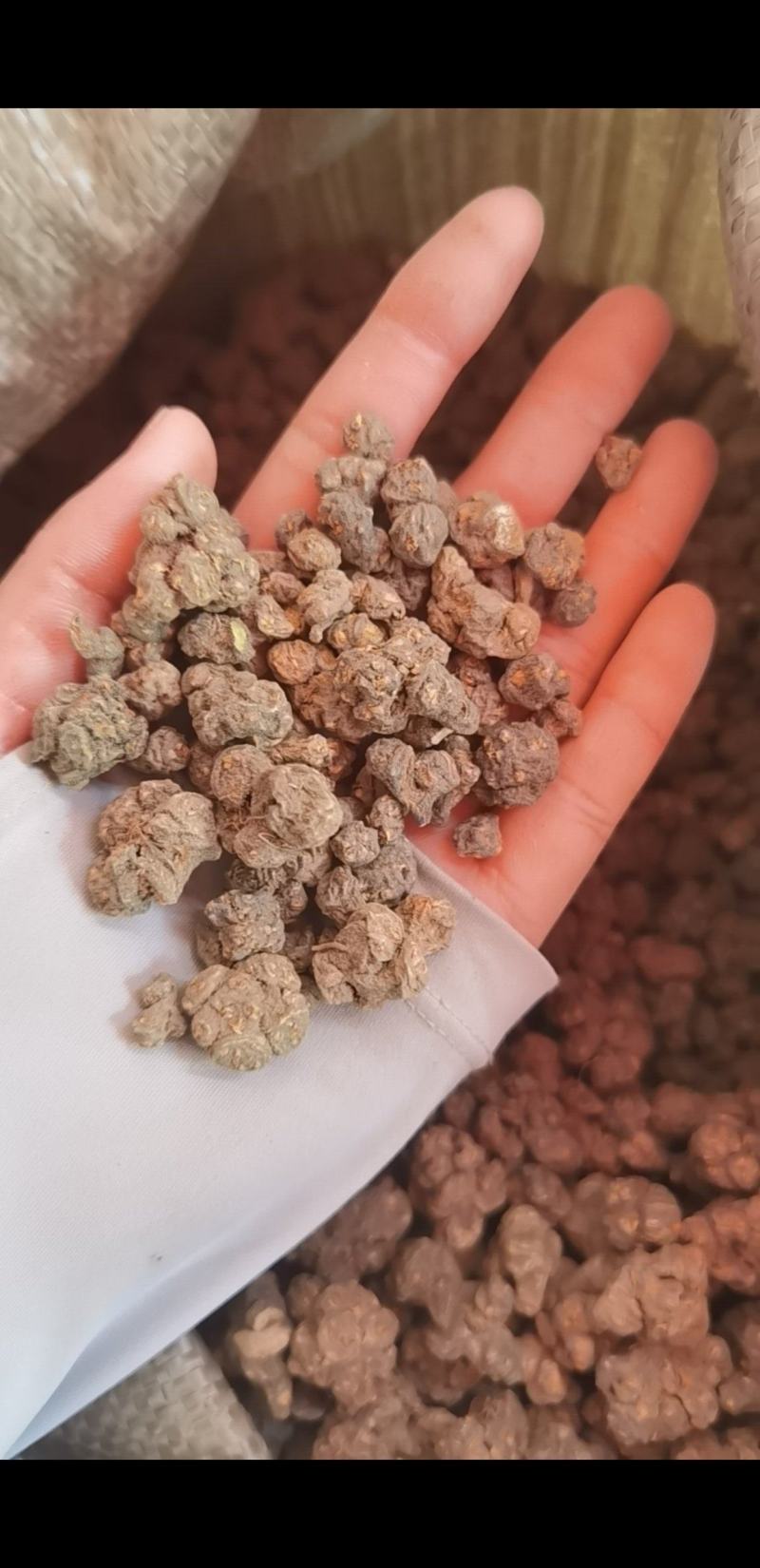 夏天无江西1公斤起批无硫***不包邮正品