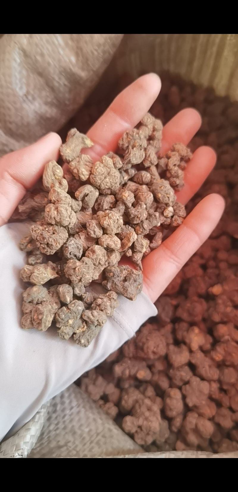 夏天无江西1公斤起批无硫***不包邮正品