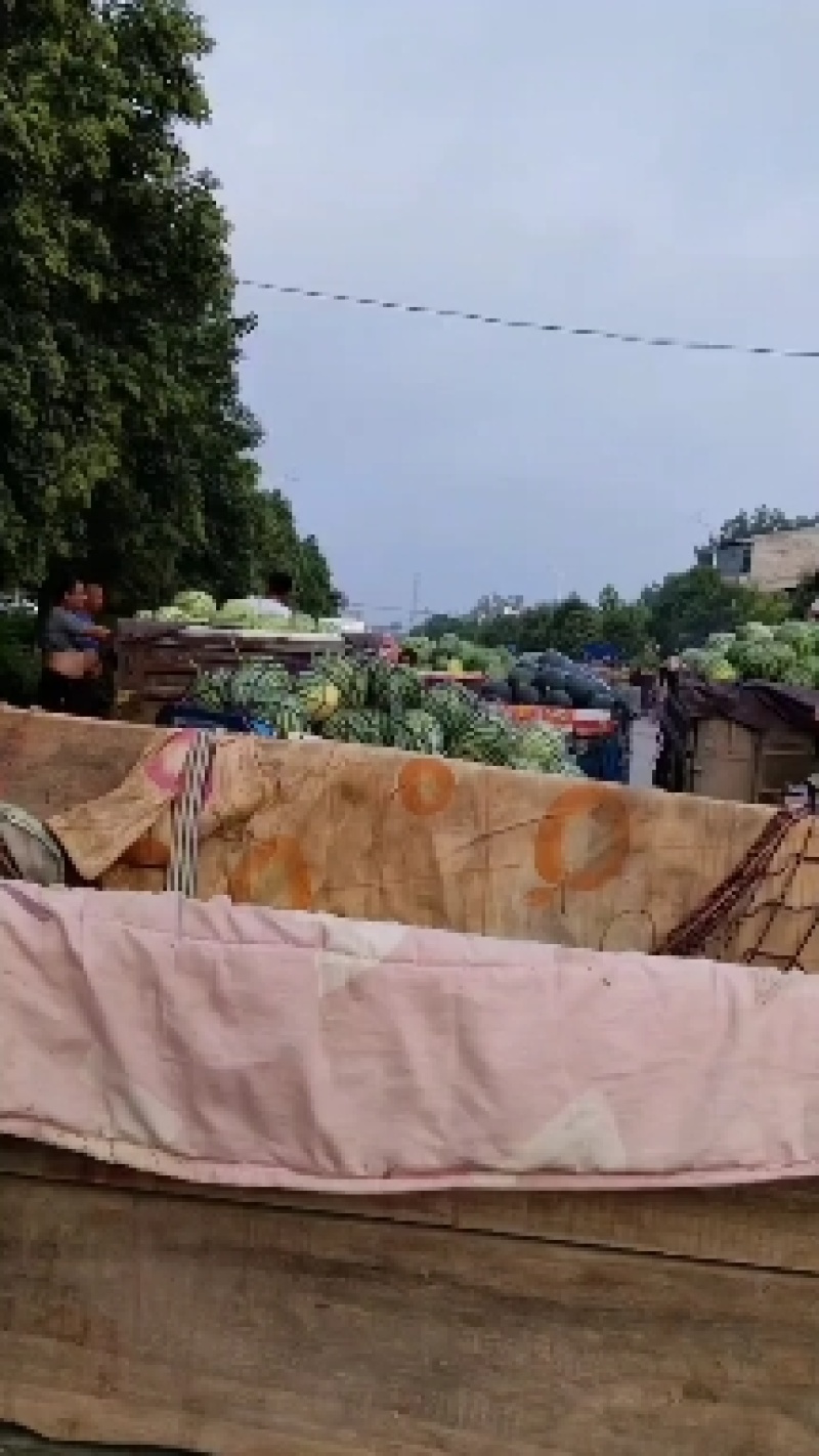 精品美都，万亩基地上市