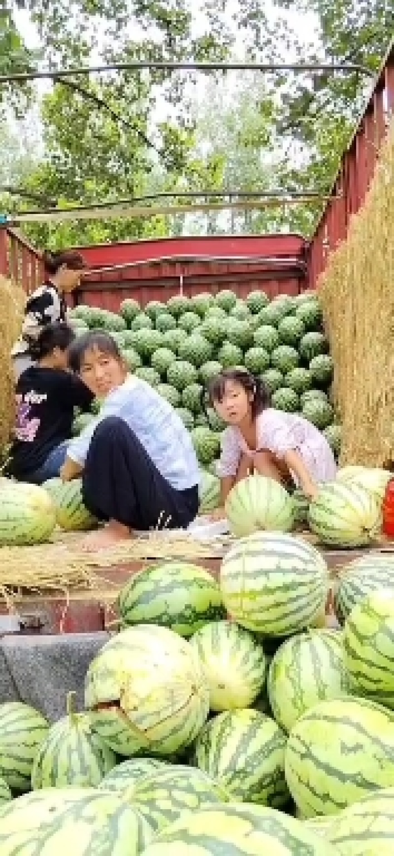 精品美都，万亩基地上市