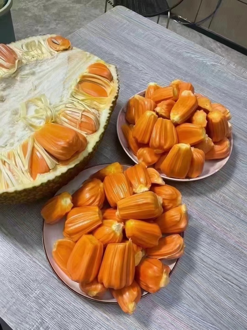 【珍珠菠萝蜜】菠萝蜜海南菠萝蜜大量有货欢迎来电咨询