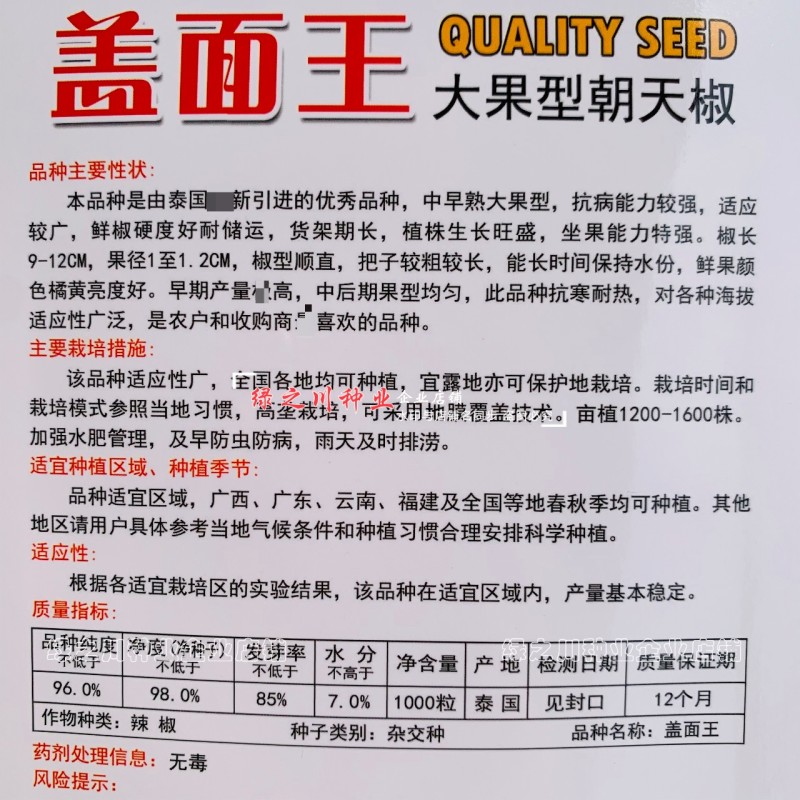 农好盖面王朝天椒种子泰国大果朝天椒椒长硬度好抗寒耐热辣椒