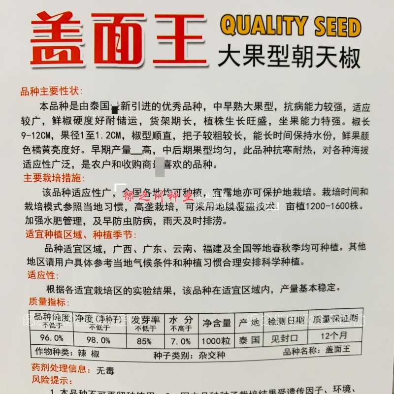 农好盖面王朝天椒种子泰国大果朝天椒椒长硬度好抗寒耐热辣椒