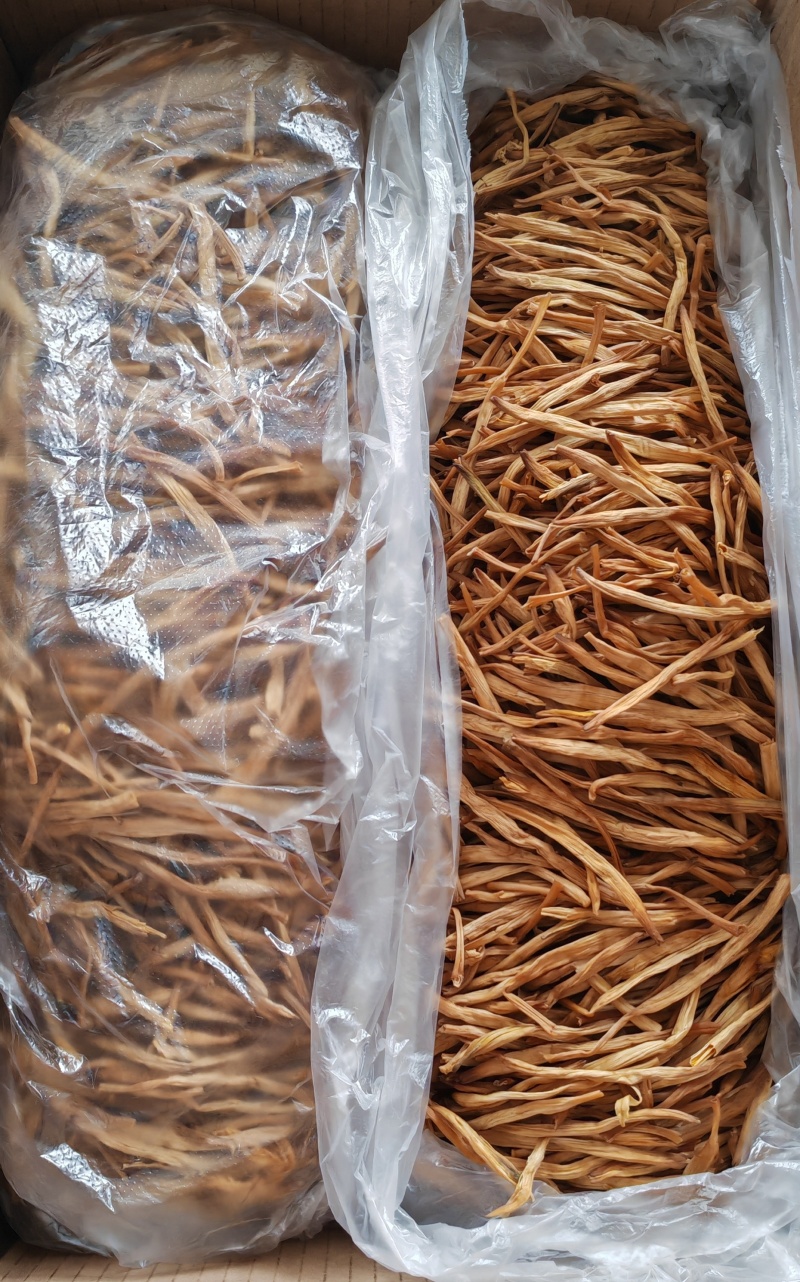 免费手排无硫直条黄花菜货版一致量大从优欢迎来电洽谈