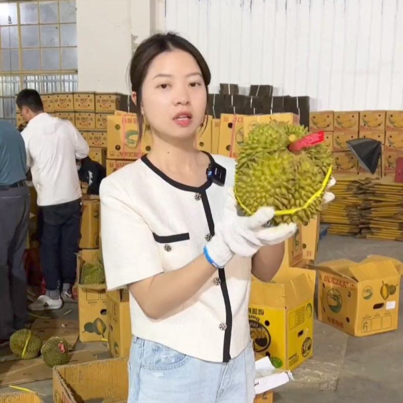 金枕榴莲，种植基地采摘，烂果坏果包售后