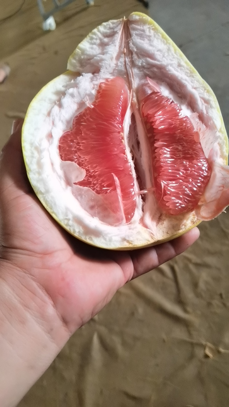 海南云南西双版三红柚.红柚.一件代发。产地直发一手货源。