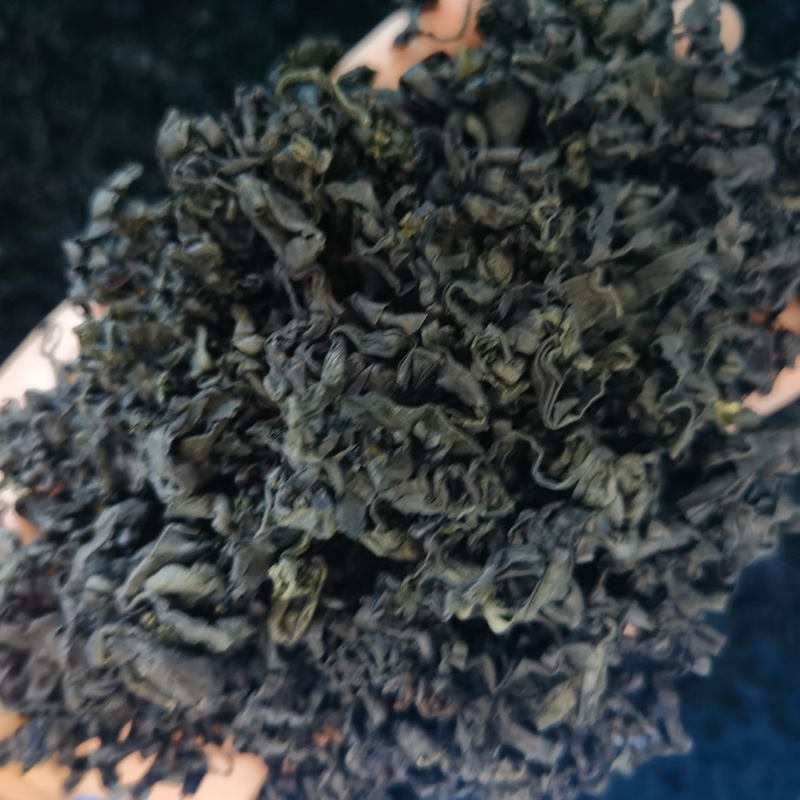 山东日照裙带菜，货量大货品优，欢迎采购