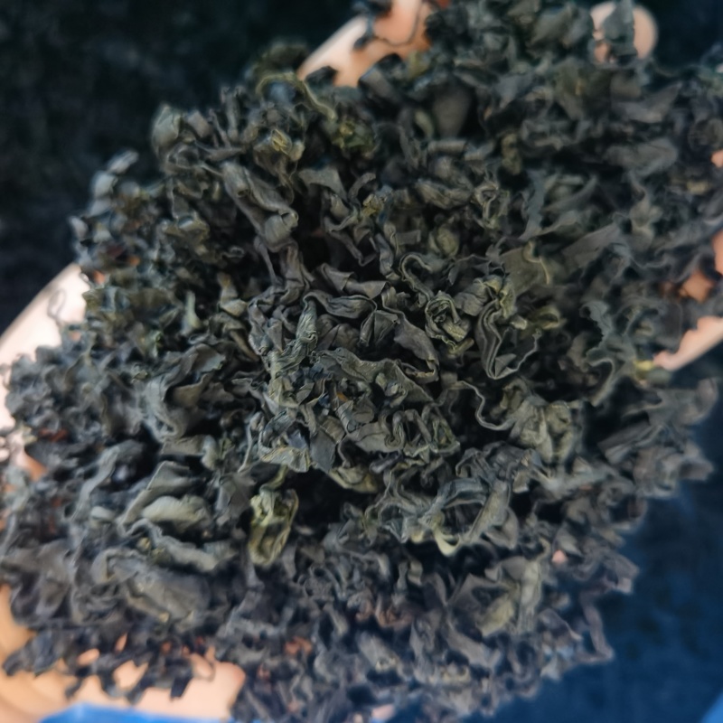 山东日照裙带菜，货量大货品优，欢迎采购