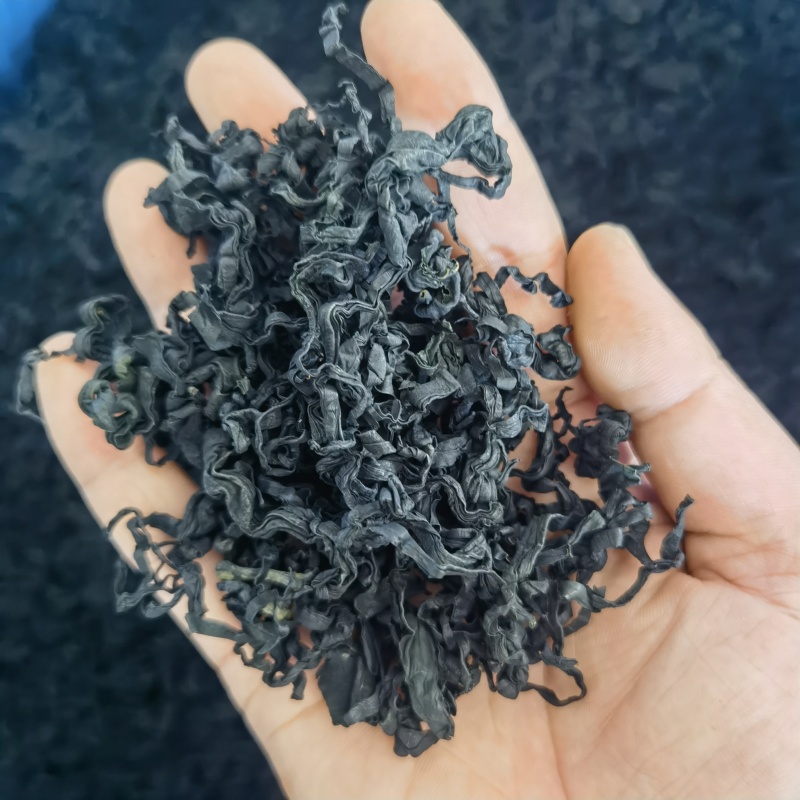 山东日照裙带菜，货量大货品优，欢迎采购