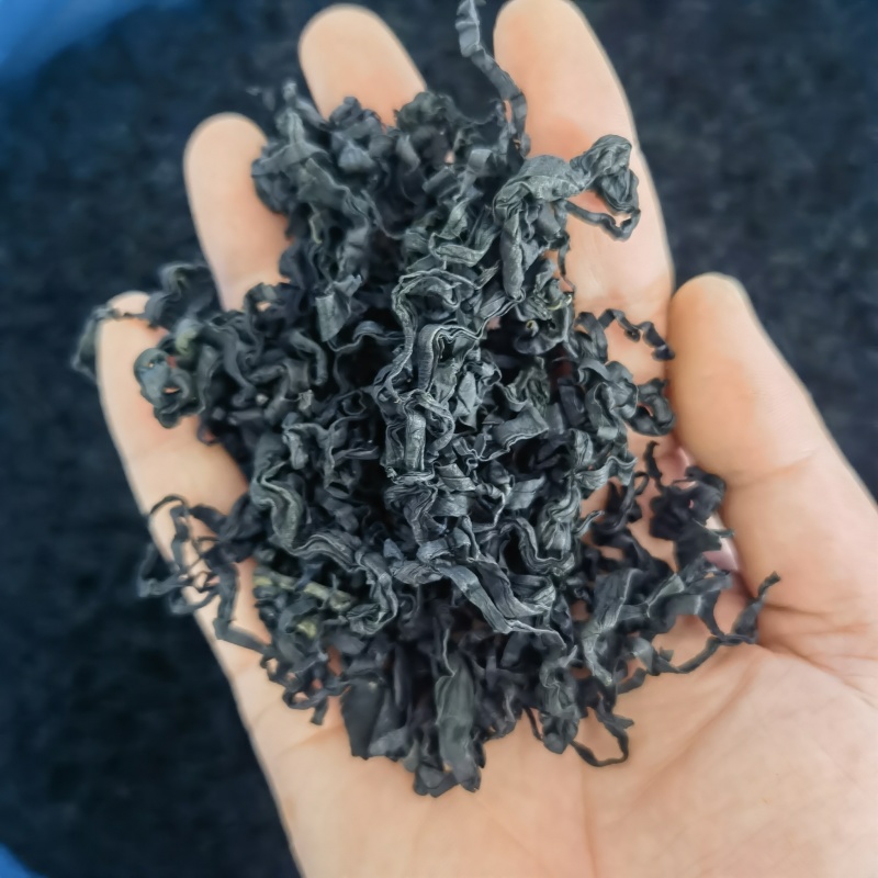 山东日照裙带菜，货量大货品优，欢迎采购