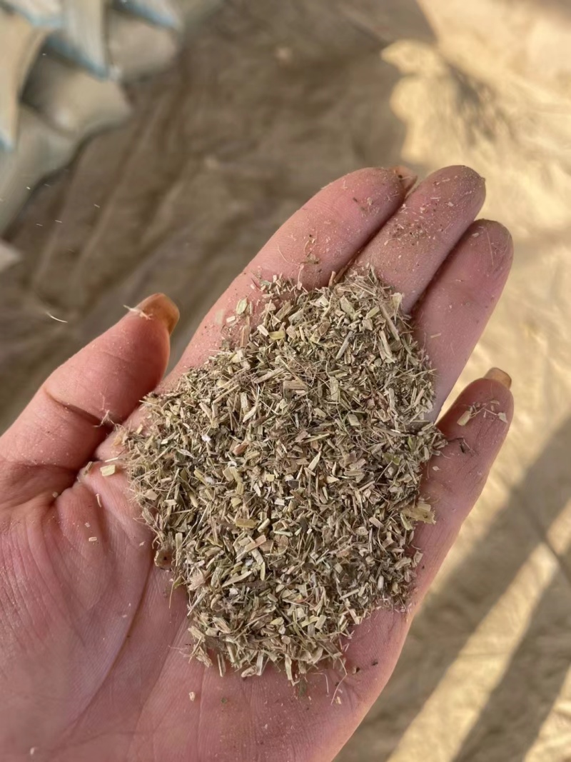 花生秧细粉