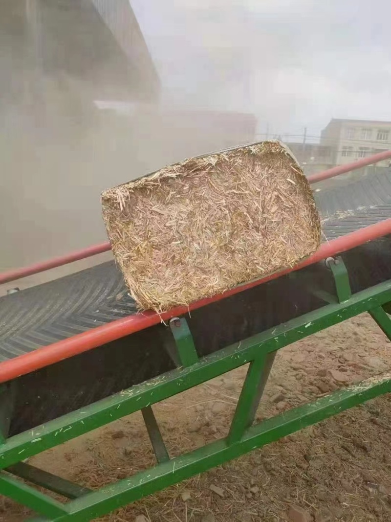 花生秧细粉
