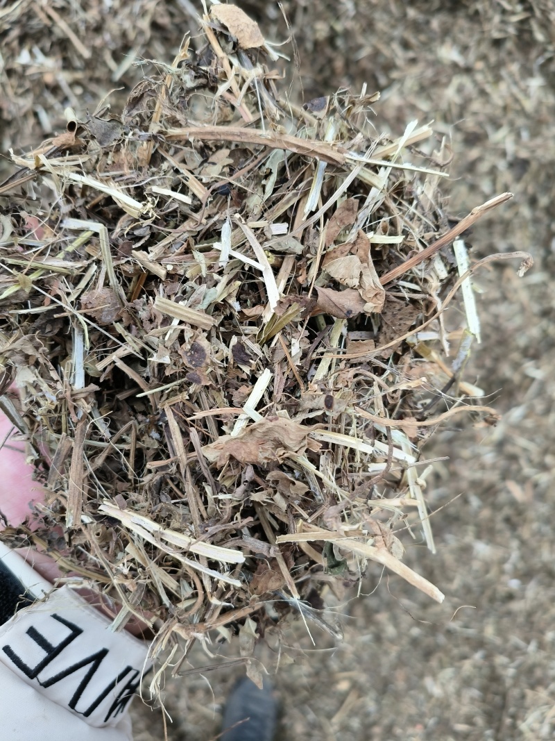 花生秧细粉