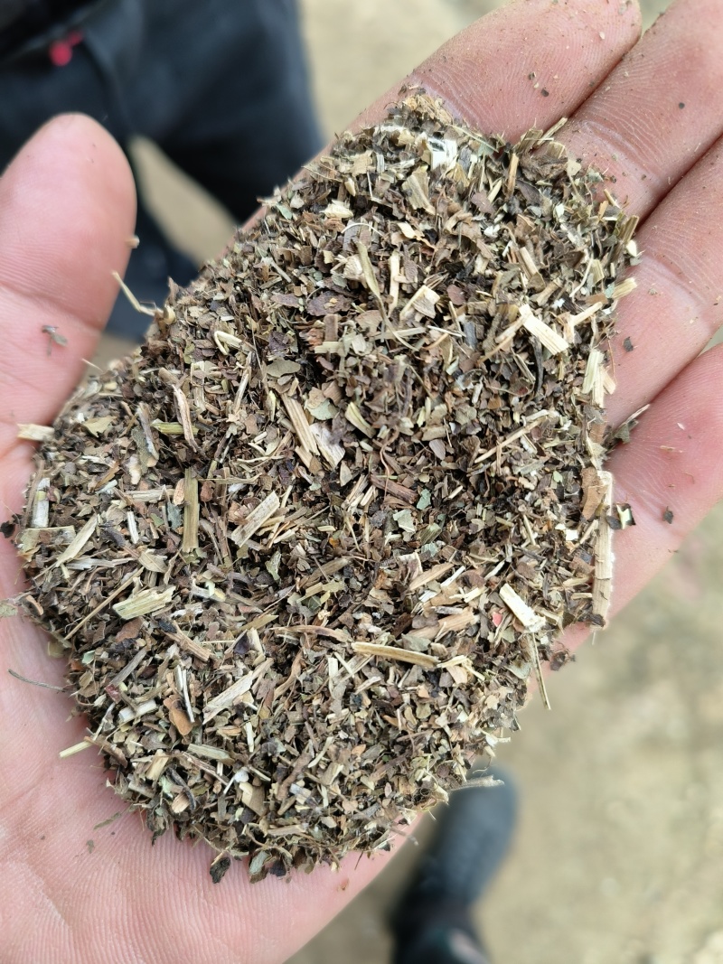 花生秧细粉