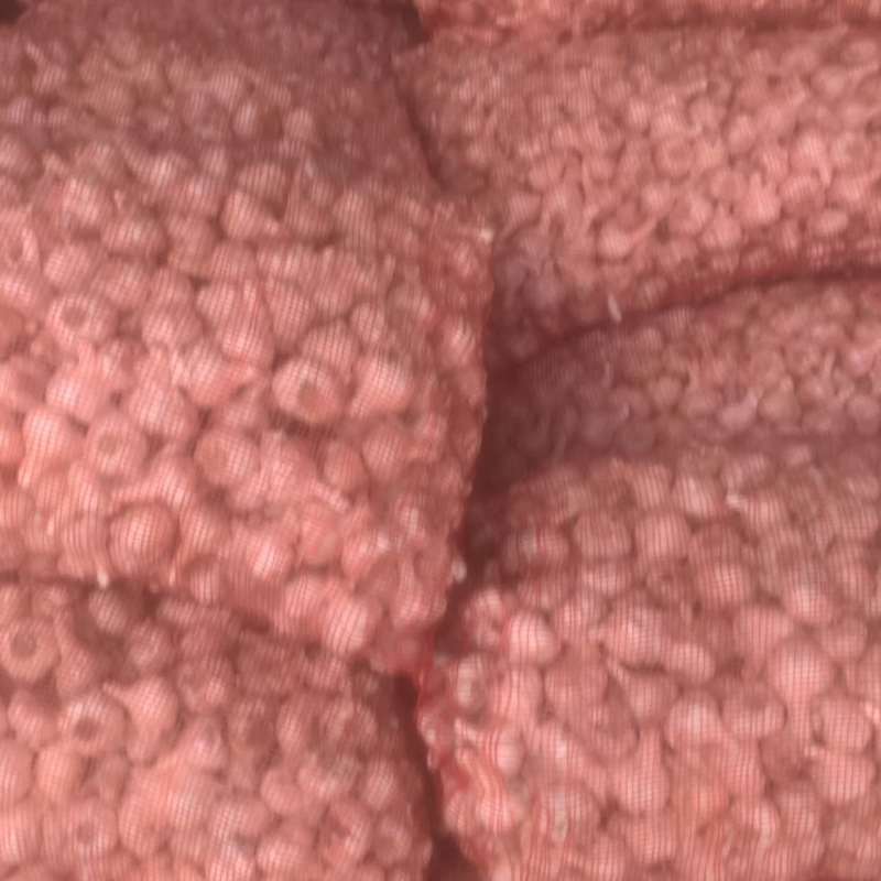 射阳大蒜大通货米料白皮蒜