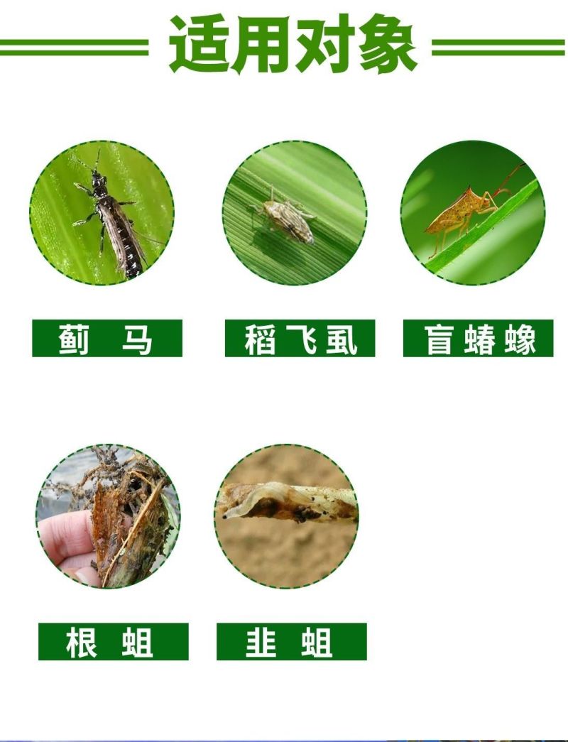 70%噻虫嗪烟草蚜虫腻虫白粉虱介壳虫农药杀虫剂内吸农用