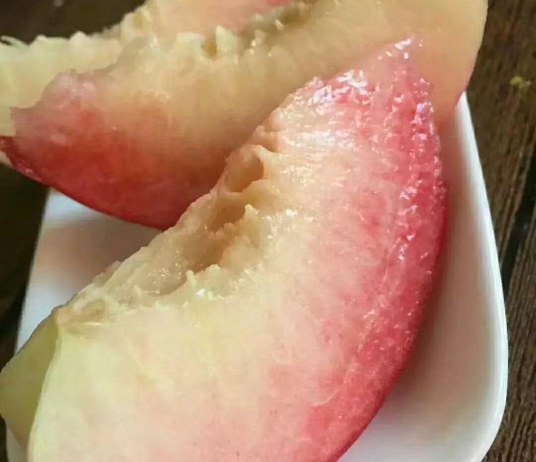 红不软桃果实特写