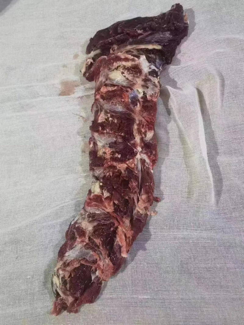 云南本土黄牛肉