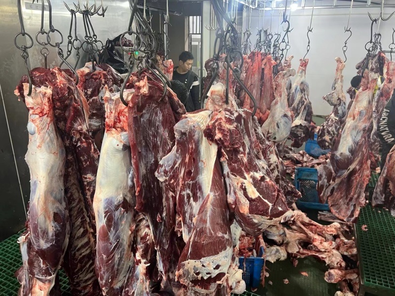 云南本土黄牛肉