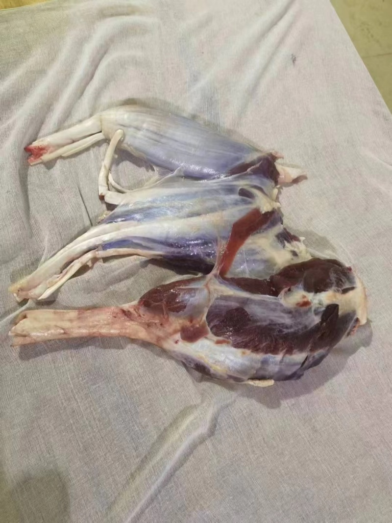 云南本土黄牛肉