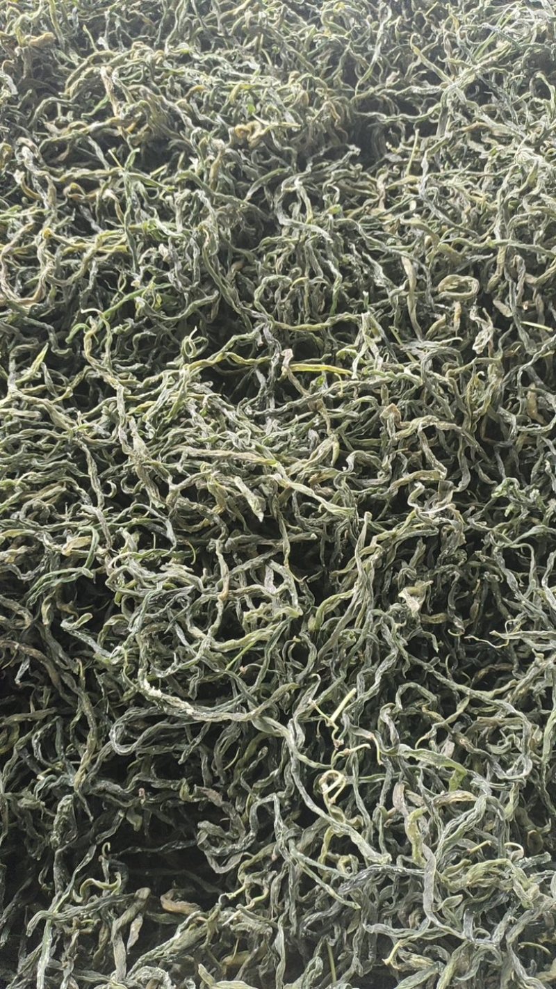 2024年新品架豆王无筋豆脱水蔬菜干货