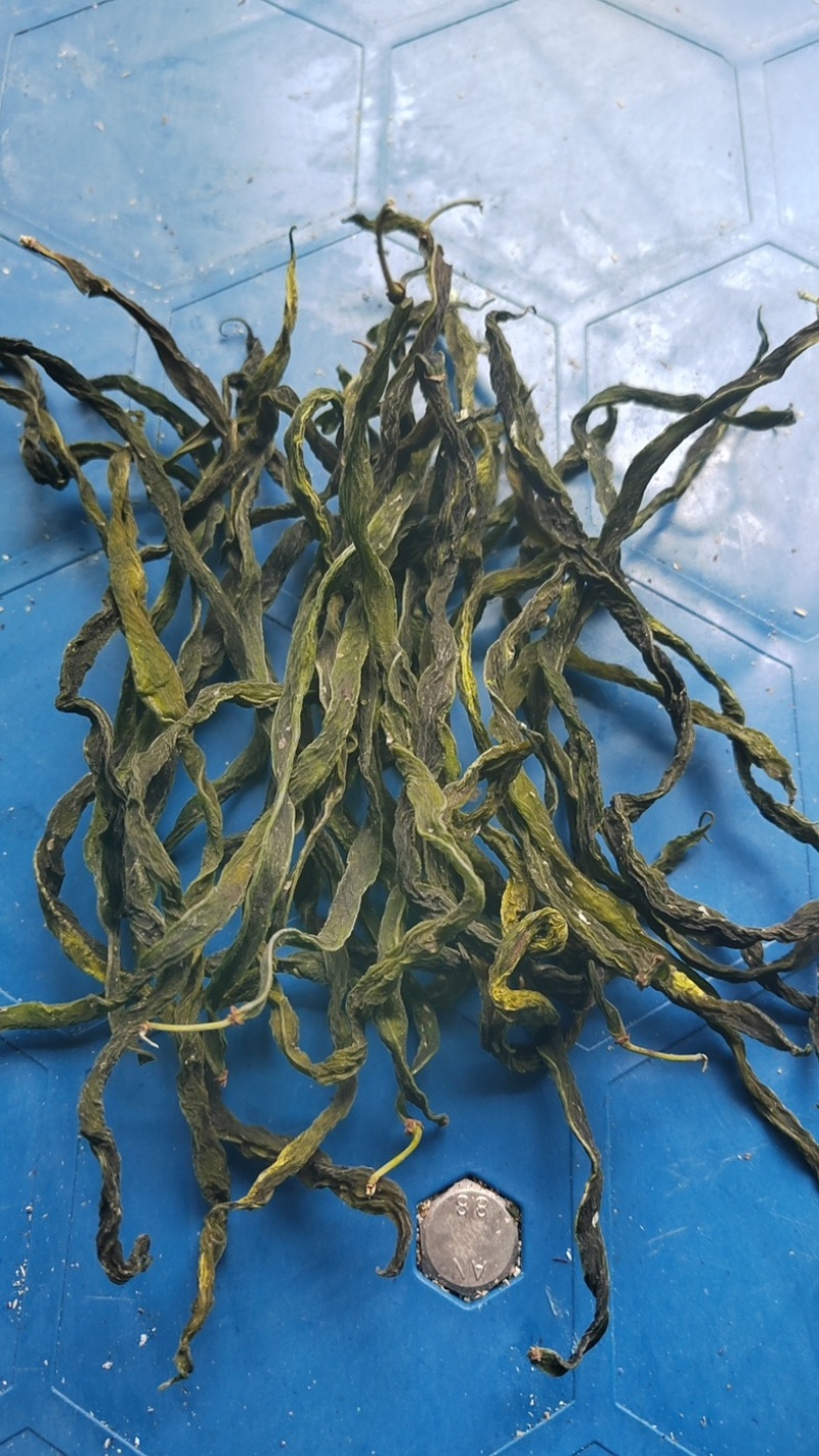 2024年新品架豆王无筋豆脱水蔬菜干货