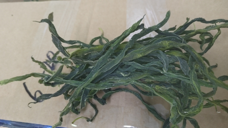 2024年新品架豆王无筋豆脱水蔬菜干货