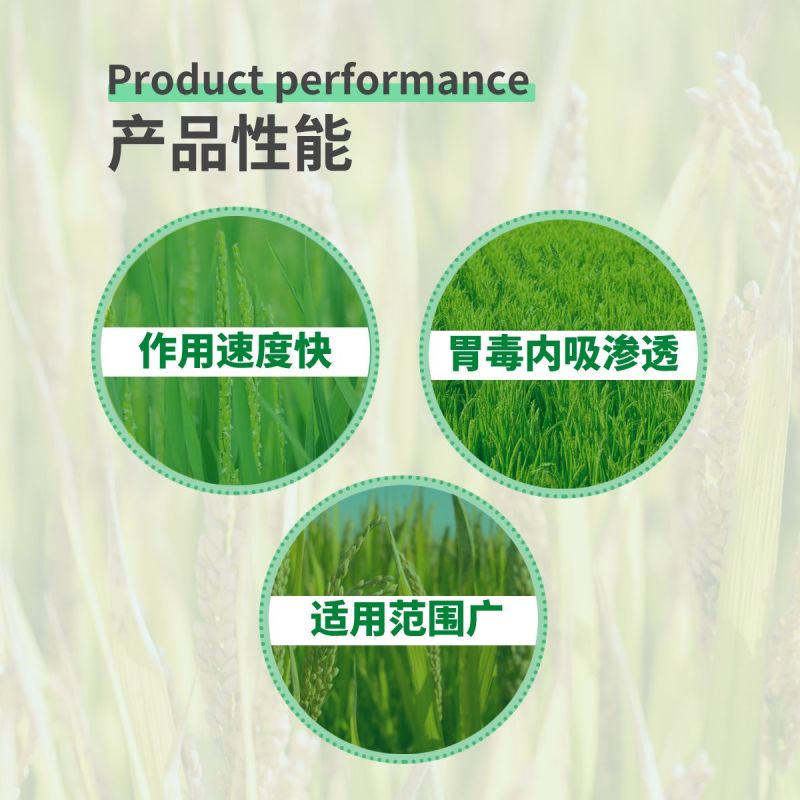 甲维·氯虫苯甲酰胺樊总卷叶螟甜菜夜蛾蒂蛀虫包心虫吊丝虫等