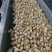 山东威海石岛单冻扇贝肉40-60/60-80等规格齐全