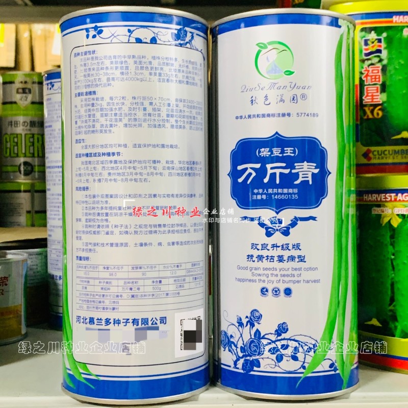 万斤青架豆王种子无筋豆种子无纤维抗病改良升级版四季豆种子