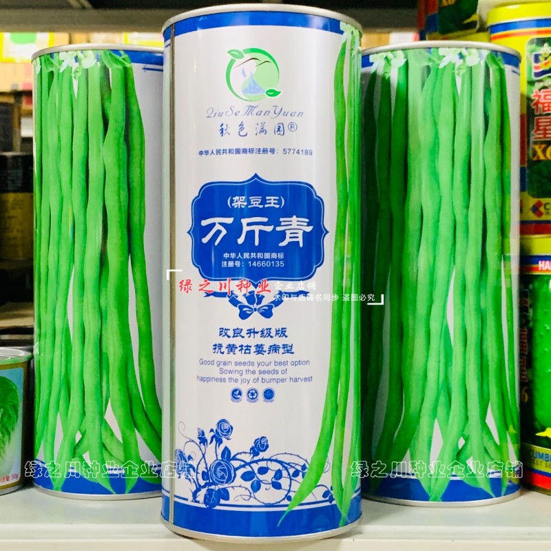 万斤青架豆王种子无筋豆种子无纤维抗病改良升级版四季豆种子