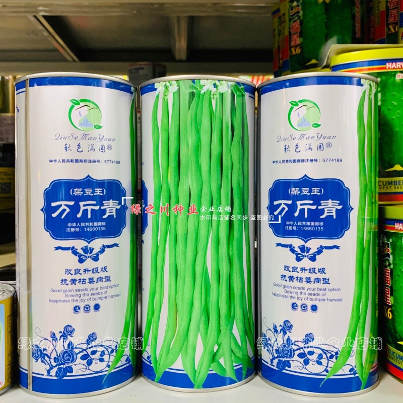 万斤青架豆王种子无筋豆种子无纤维抗病改良升级版四季豆种子