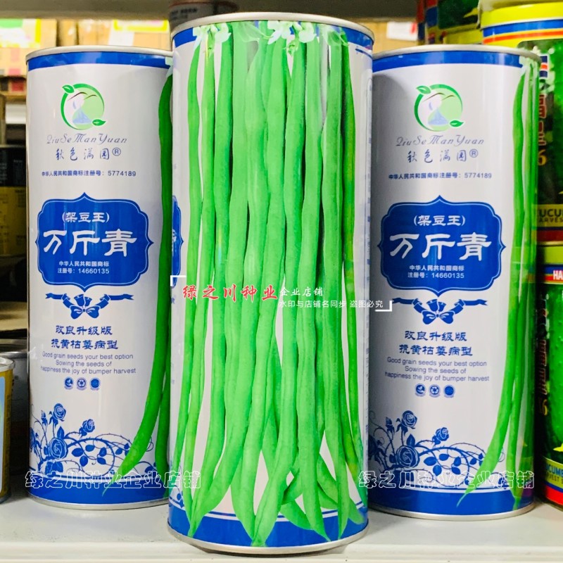 万斤青架豆王种子无筋豆种子无纤维抗病改良升级版四季豆种子