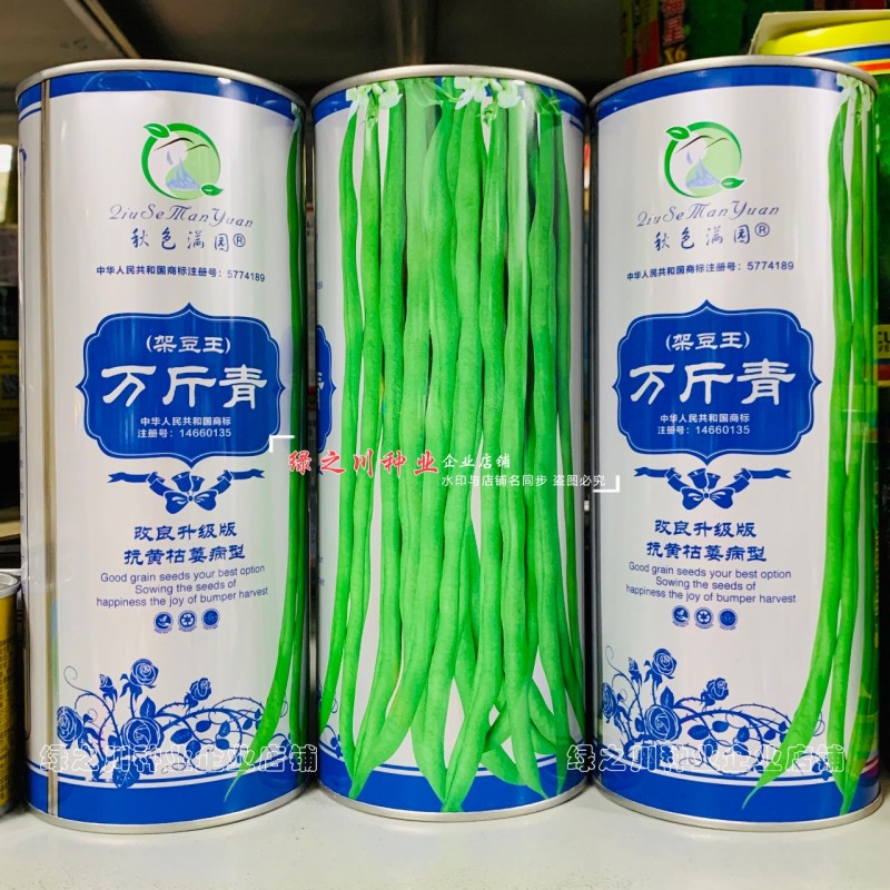 万斤青架豆王种子无筋豆种子无纤维抗病改良升级版四季豆种子