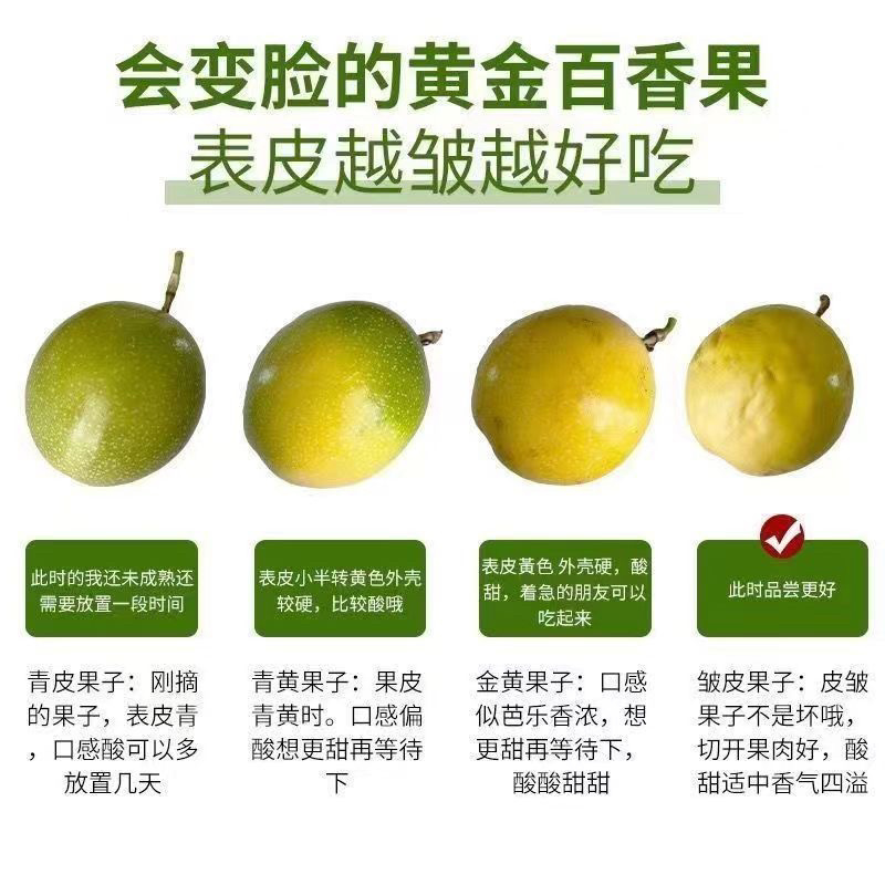 钦蜜9号黄金百香果当季新鲜水果现摘鸡蛋果纯甜产地直销